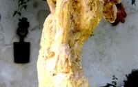 La Lutte