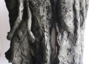 Massai 2011